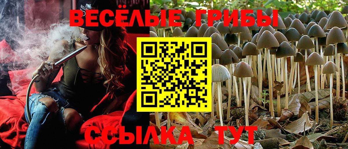 Псилоцибиновые грибы мухоморы Серпухов
