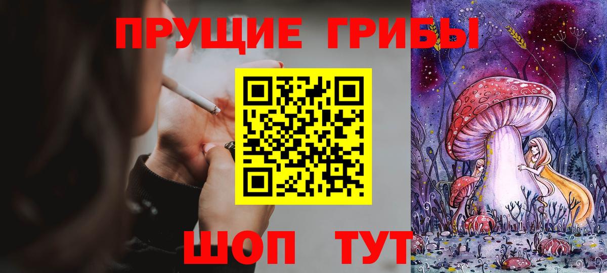 Псилоцибиновые грибы Psilocybine cubensis  Вход с VPN  Серпухов 